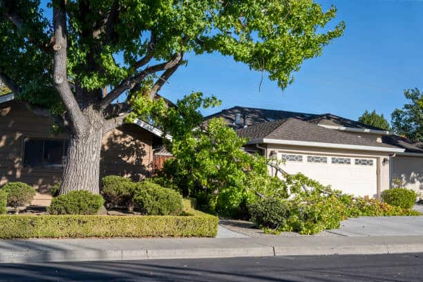 24/7 emergency tree services Springfield MO