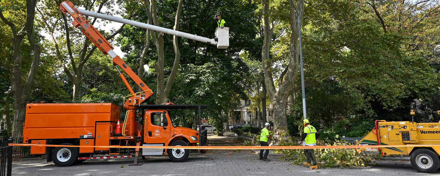 Tree services project Missouri
